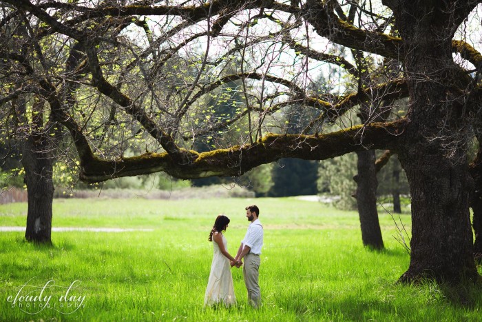 Green grass and big trees