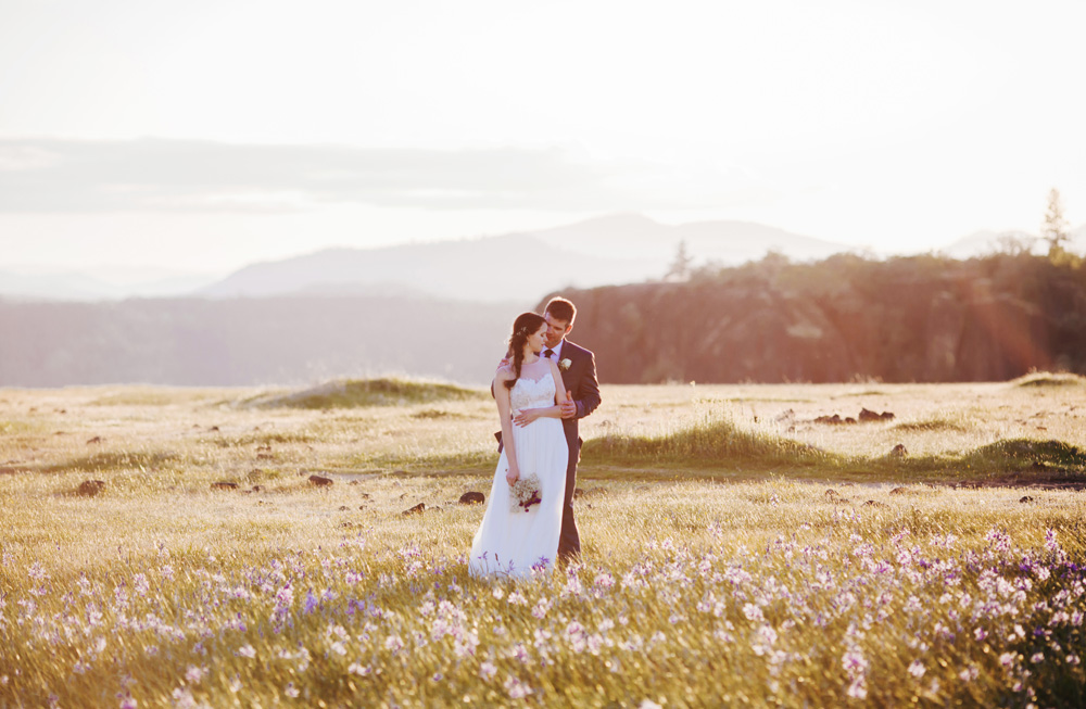 A field of spring flowers on Table Rock