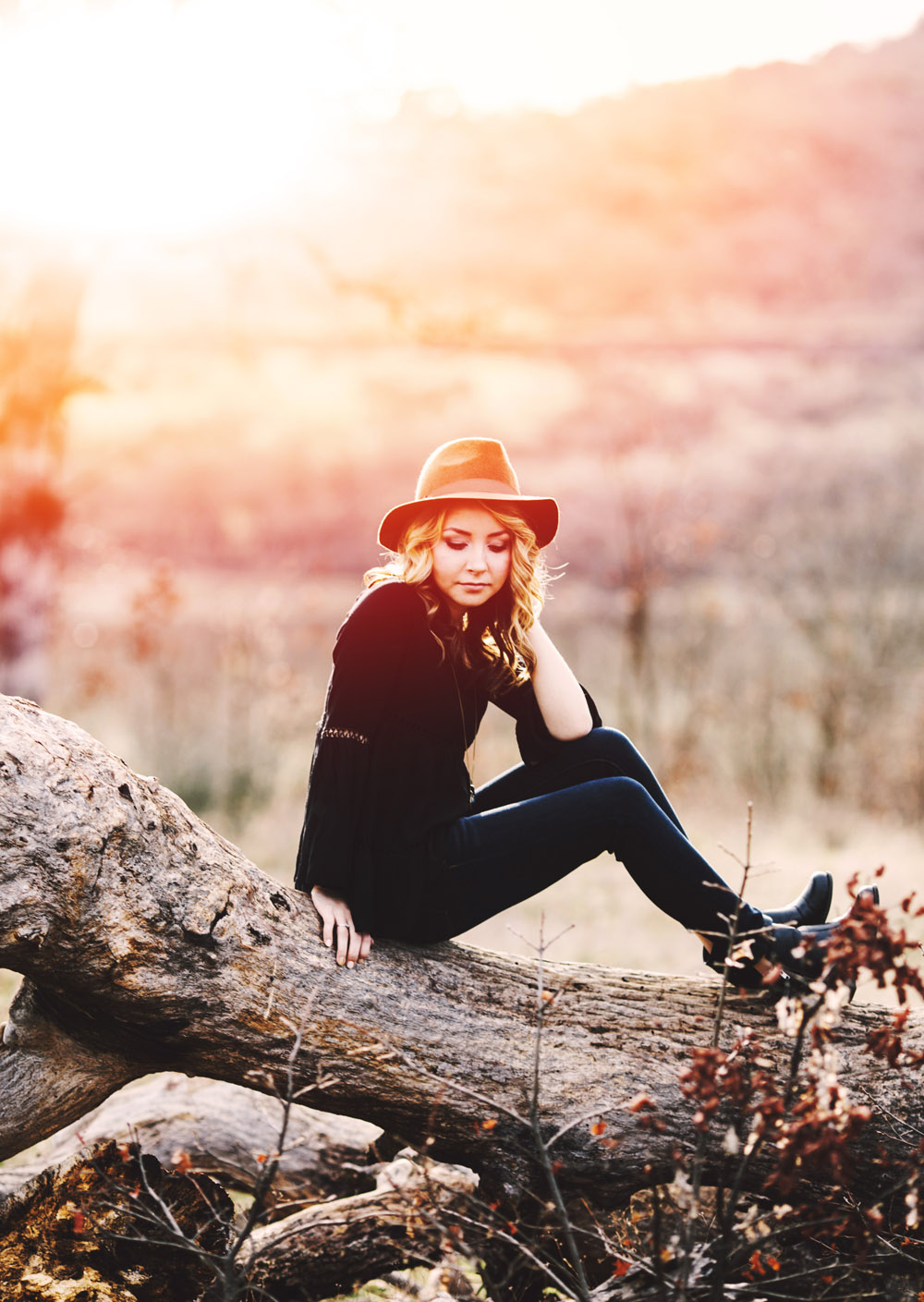 Wood log and sun flare